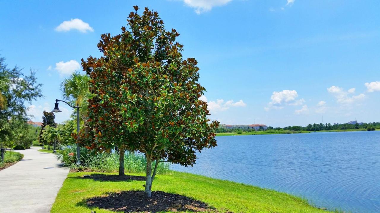 Stunning Top-Floor Condo, Next To Clubhouse Orlando Eksteriør bilde